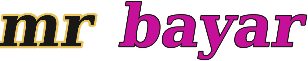 mr bayar logo